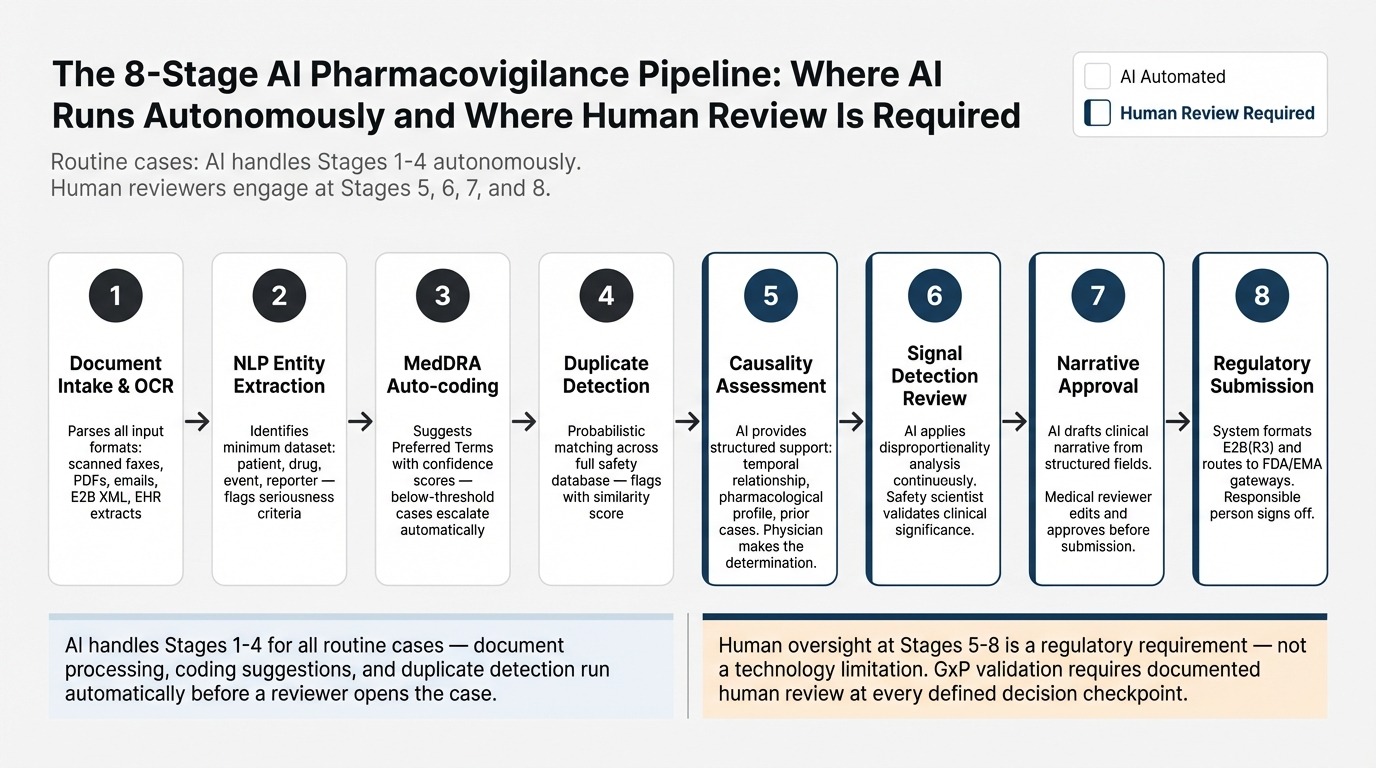 The 8-stage AI pharmacovigilance pipeline from document intake through MedDRA coding, signal detection, and regulatory submission
