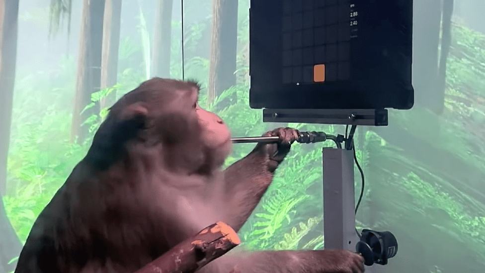  Neuralink’s test on monkey