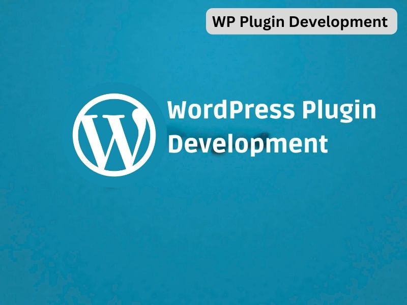 wordpress plugin development