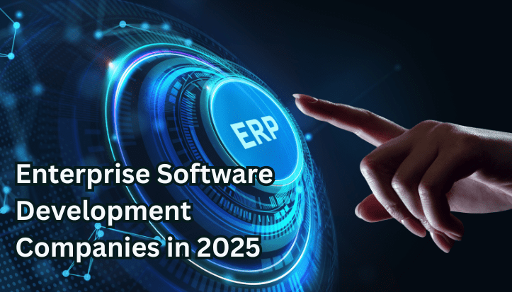 enterprise software development companies 2025