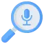 Voice Search & Commerce